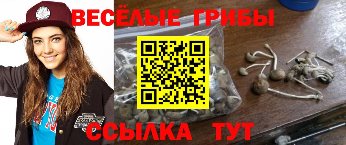 Белово  Галлюциногенные грибы прущие грибы  Вход с VPN 